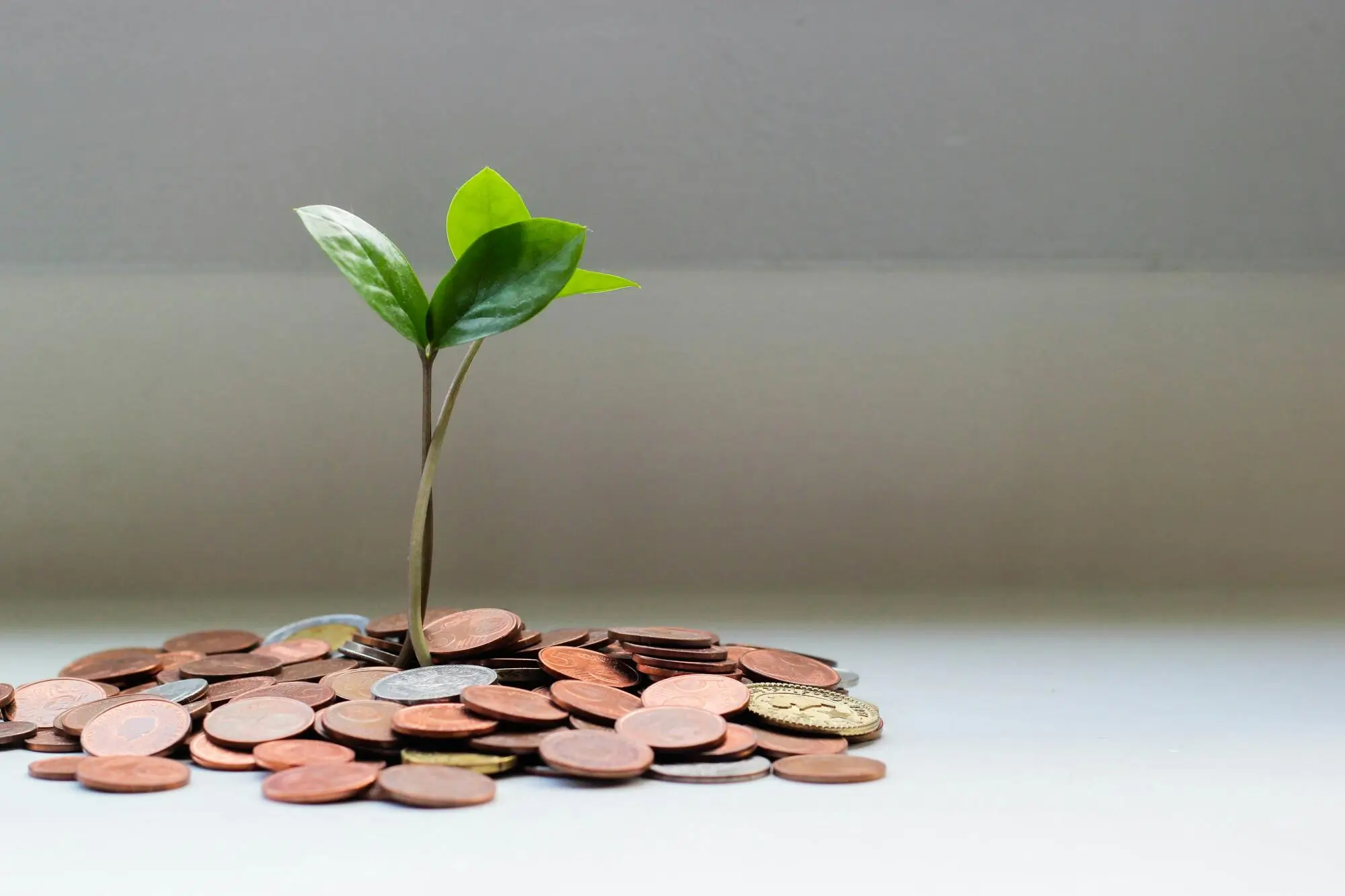 Maximizing Returns: Guide to 1031 Exchanges for Landlords